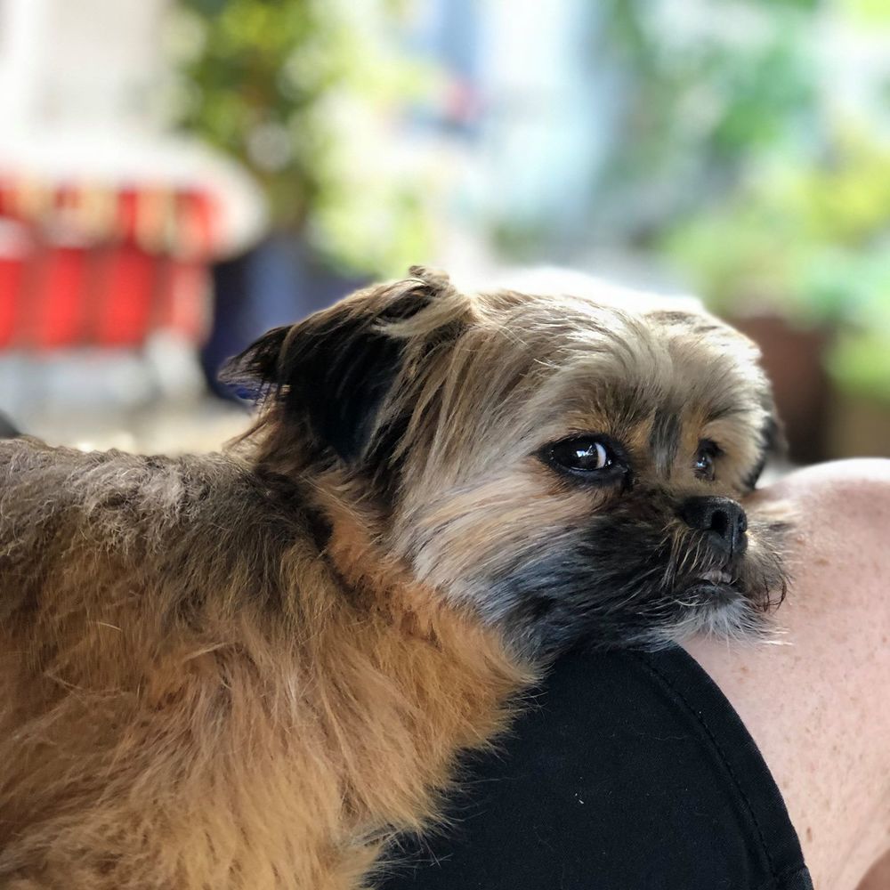 Meet your Posher, Derek